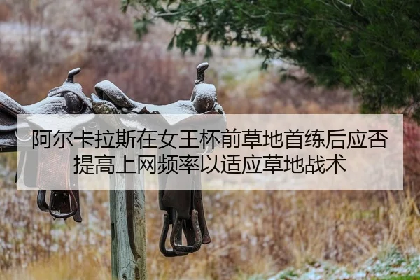 阿尔卡拉斯在女王杯前草地首练后应否提高上网频率以适应草地战术